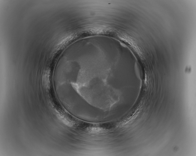 X0000096380590200801241239