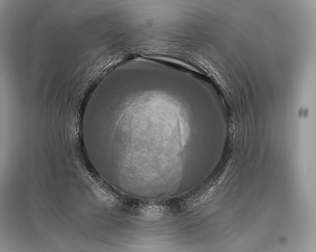 X0000096380593200801241239
