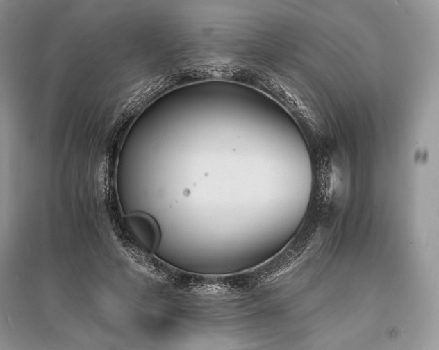 X0000096380594200801241239