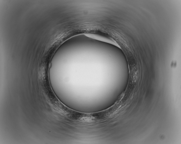 X0000096380595200801241239