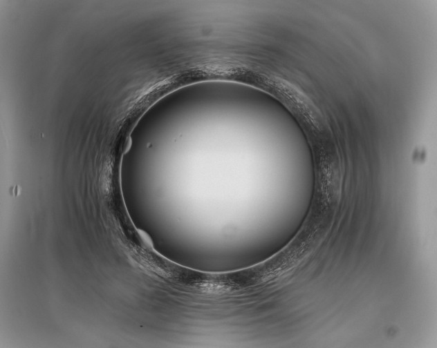 X0000096380596200801241239