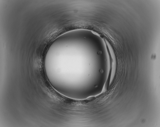 X0000096380597200801241239