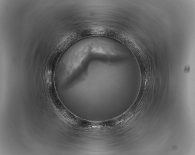 X0000096380598200801241239
