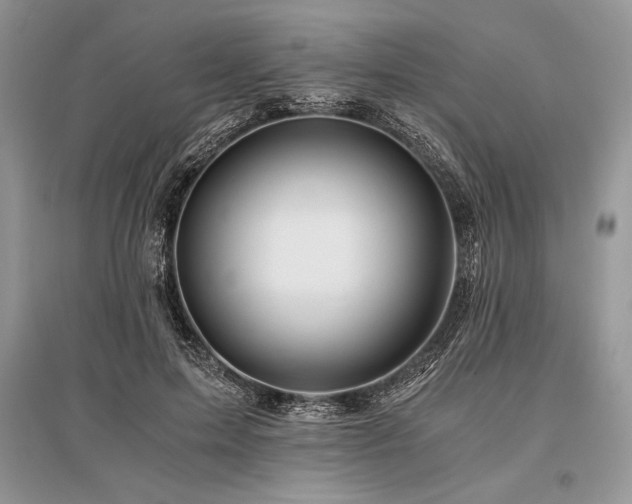 X0000096380599200801241239