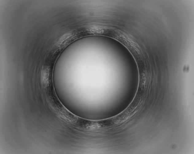 X0000096380600200801241239