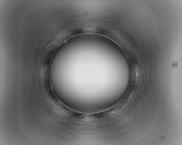 X0000096380601200801241239