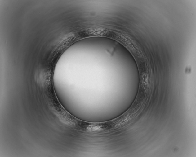 X0000096380602200801241238