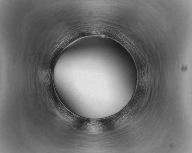 X0000096380603200801241238