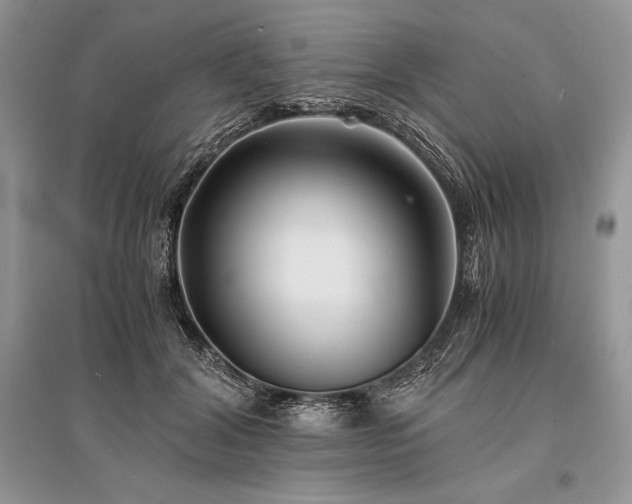 X0000096380604200801241238