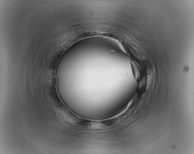 X0000096380605200801241238