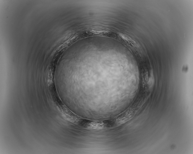 X0000096380606200801241238