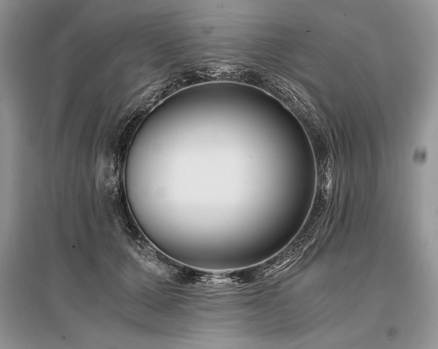 X0000096380607200801241238