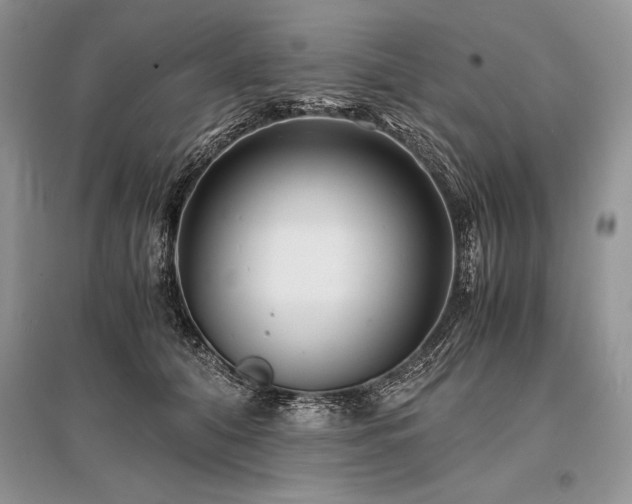 X0000096380608200801241238