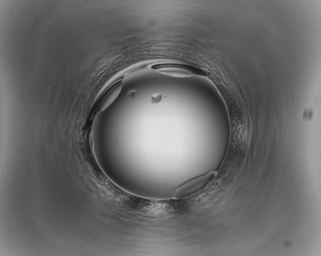X0000096380609200801241238