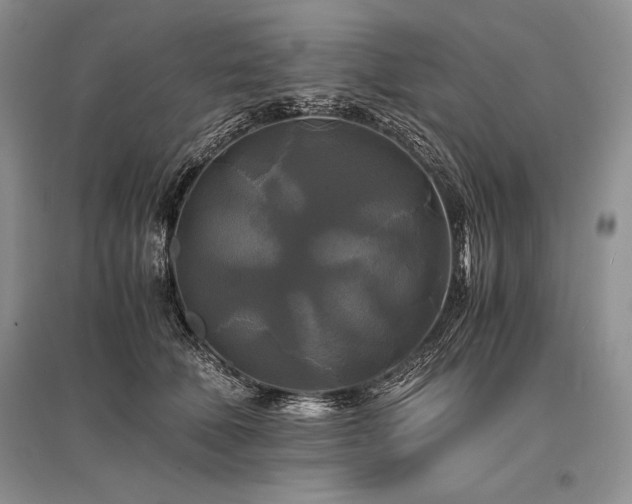 X0000096380610200801241238