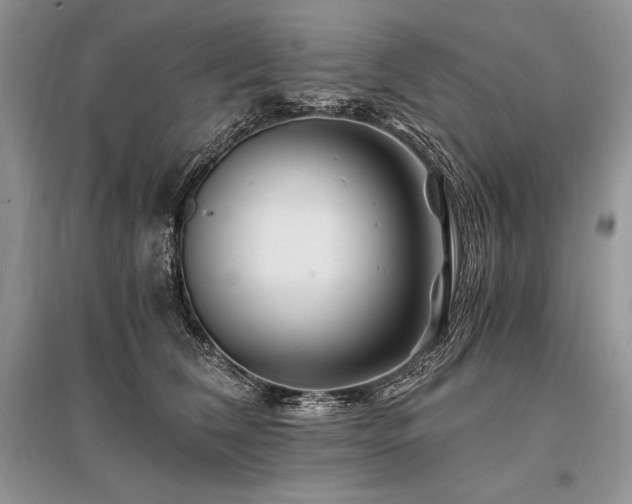 X0000096380612200801241238