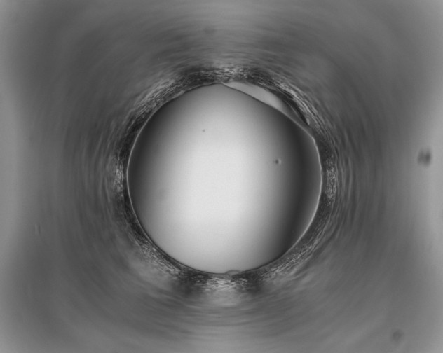 X0000096380613200801241238