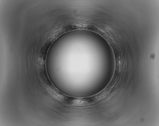 X0000096380614200801241238
