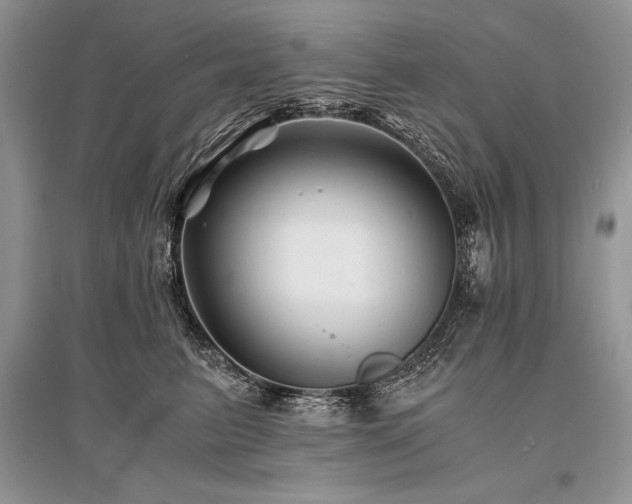 X0000096380615200801241238