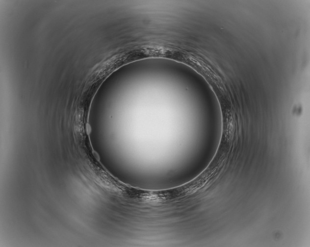 X0000096380616200801241238