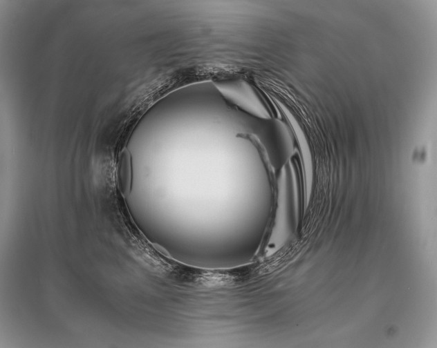 X0000096380617200801241238
