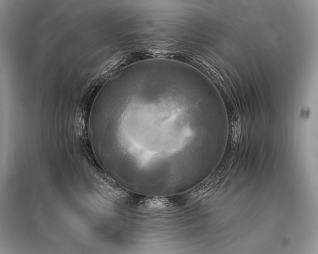 X0000096380618200801241238