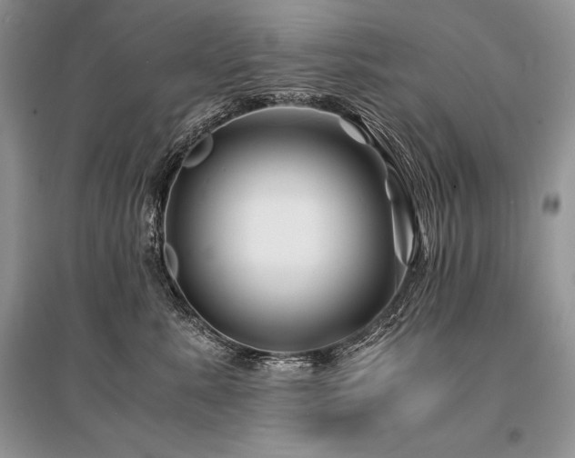 X0000096380619200801241238