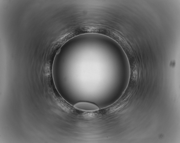 X0000096380620200801241238