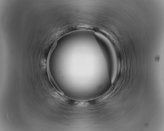 X0000096380621200801241238