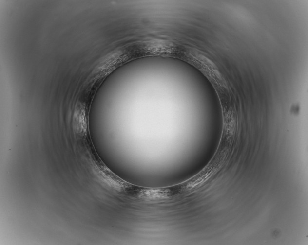 X0000096380622200801241238