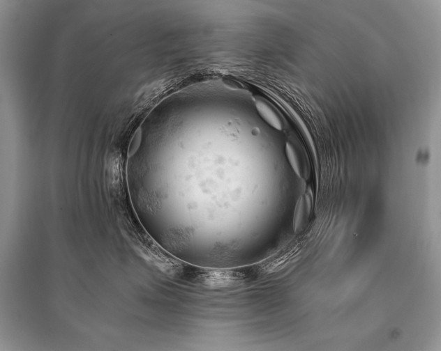X0000096380623200801241238