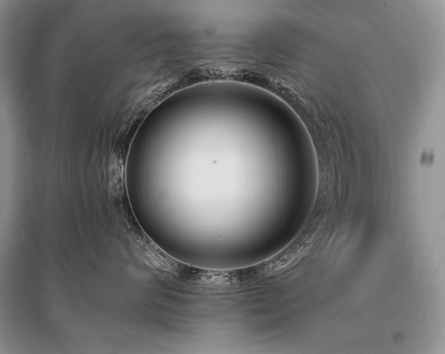 X0000096380624200801241238