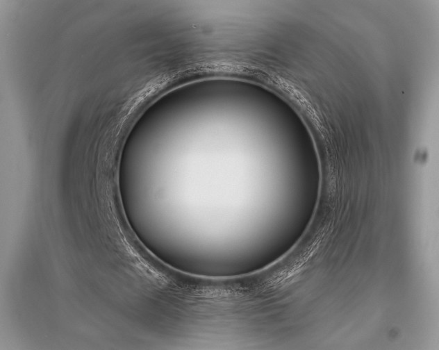 X0000096380625200801241237
