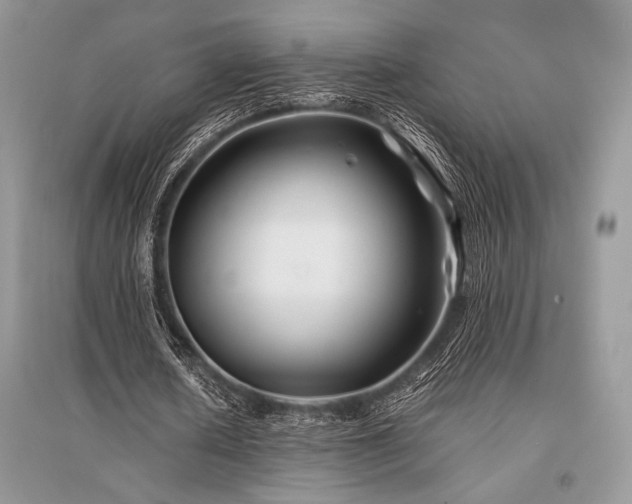 X0000096380626200801241237