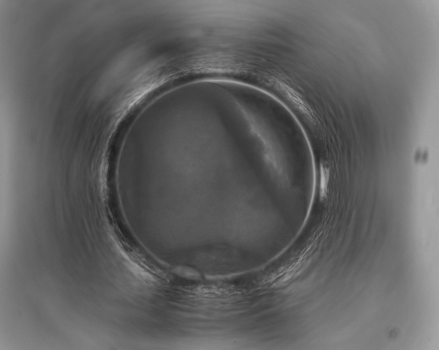 X0000096380627200801241237