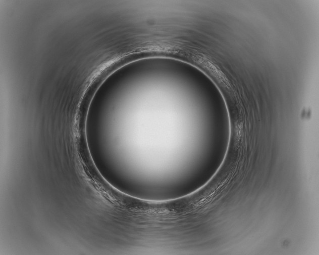 X0000096380628200801241237