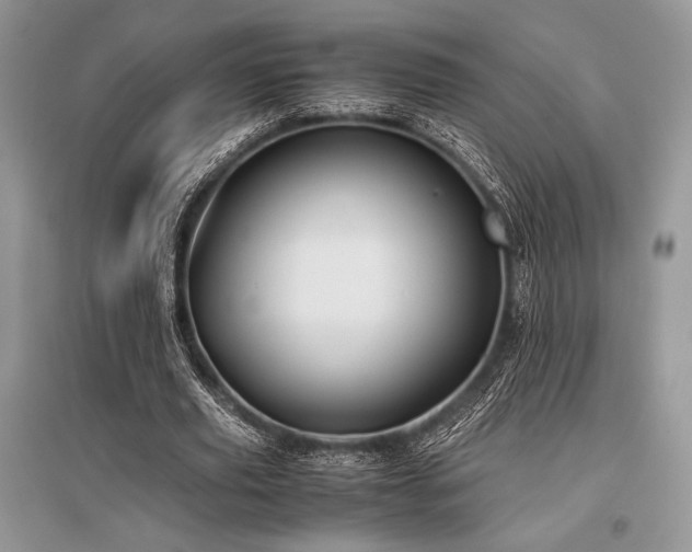 X0000096380629200801241237