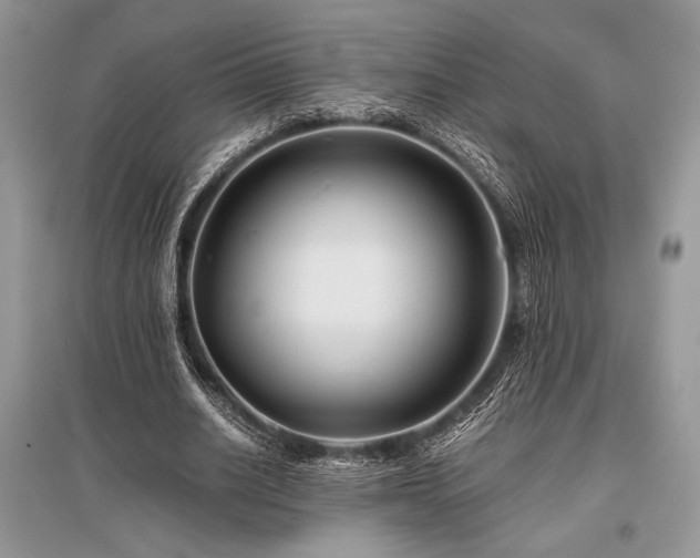 X0000096380630200801241237