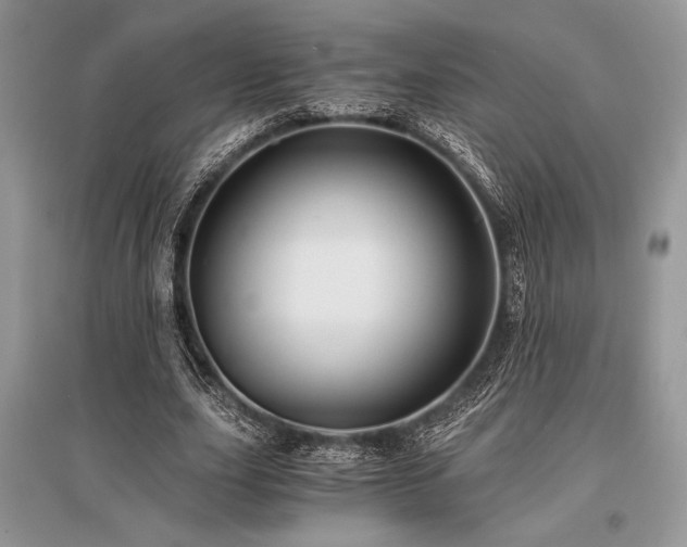 X0000096380631200801241237