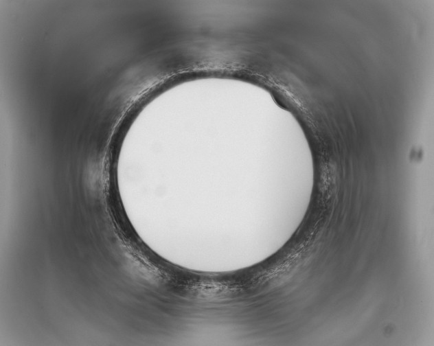 X0000096380632200801241237