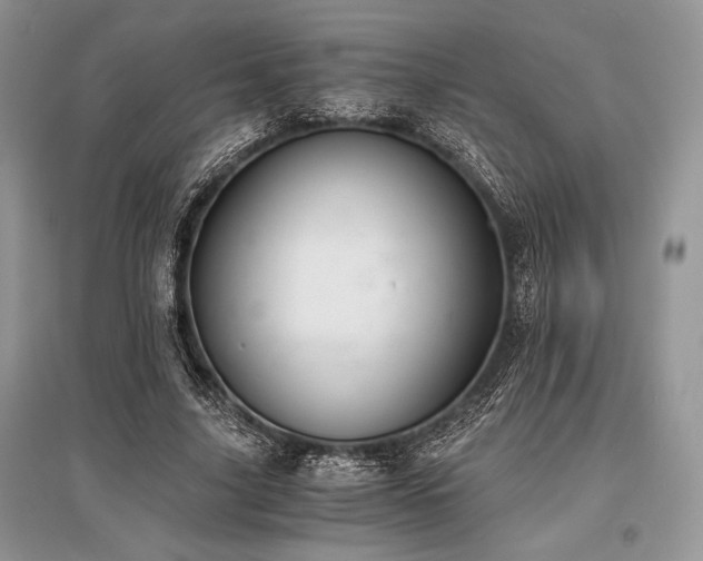 X0000096380635200801241237