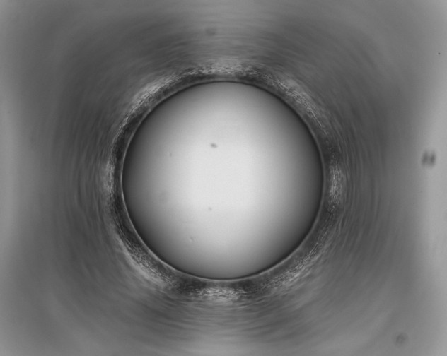 X0000096380636200801241238