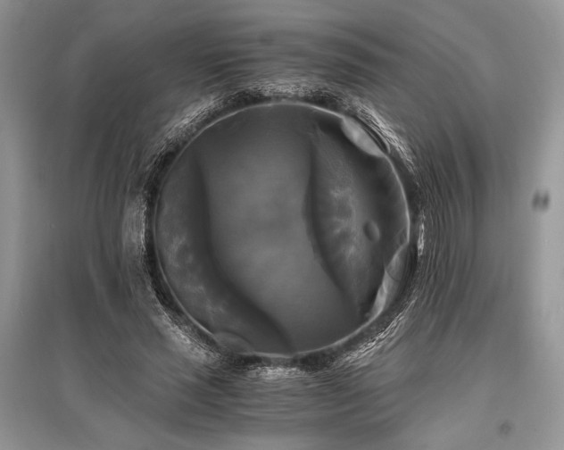 X0000096380637200801241238