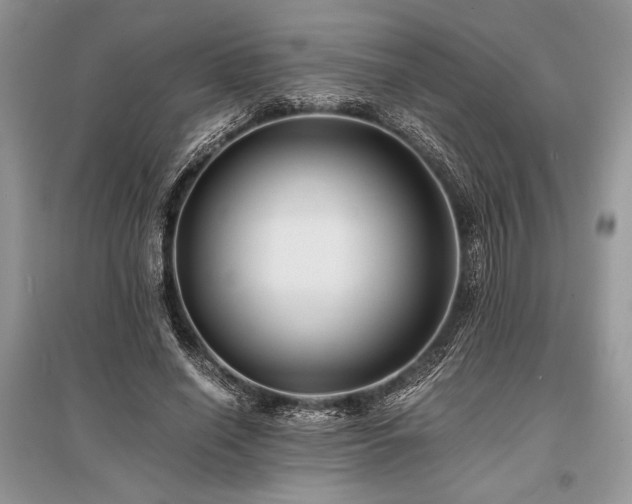 X0000096380638200801241238