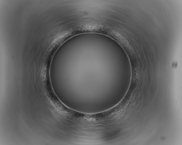 X0000096380640200801241238