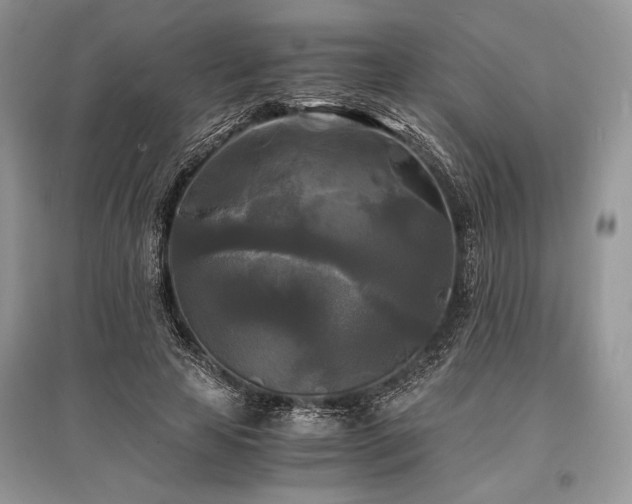 X0000096380641200801241238