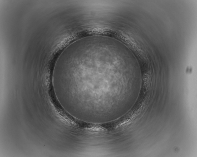 X0000096380642200801241238