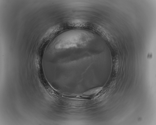 X0000096380643200801241238