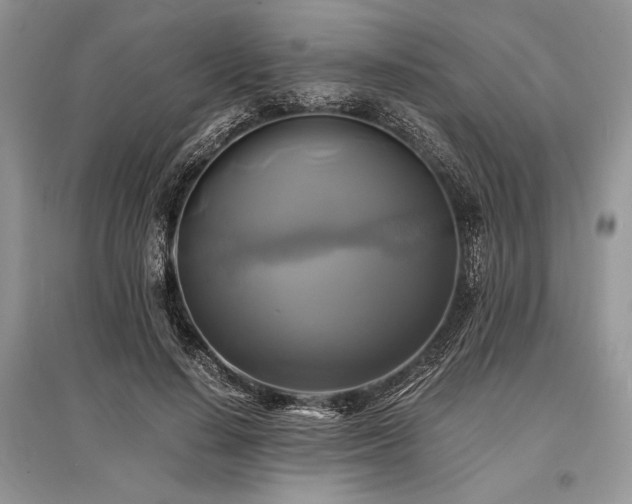 X0000096380644200801241238