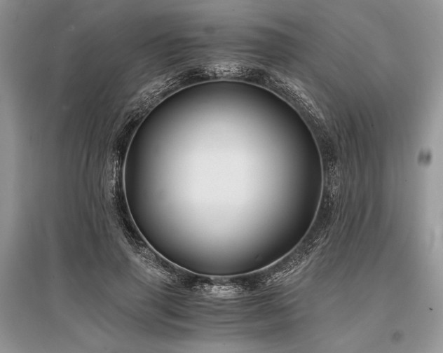 X0000096380645200801241238
